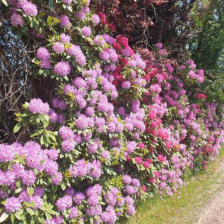 Ferienwohnung Gartenblick فسترشتيده المظهر الخارجي الصورة