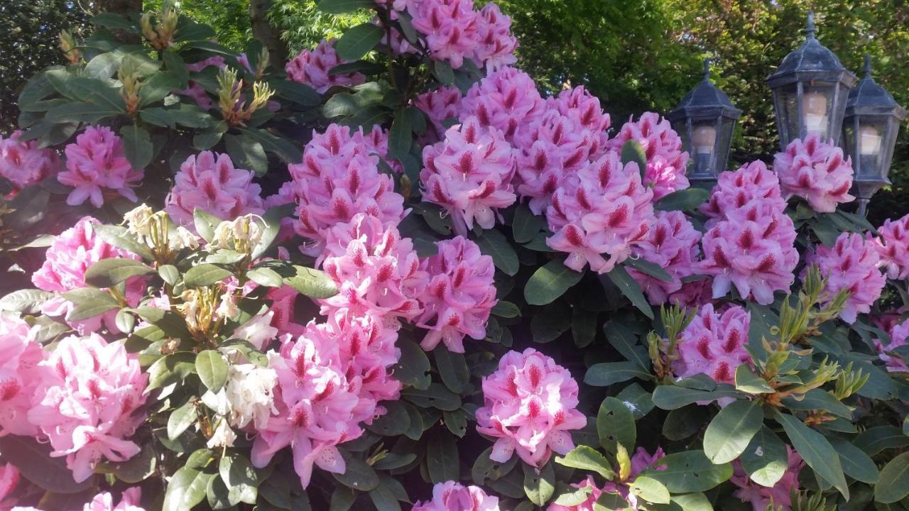 Ferienwohnung Gartenblick فسترشتيده المظهر الخارجي الصورة