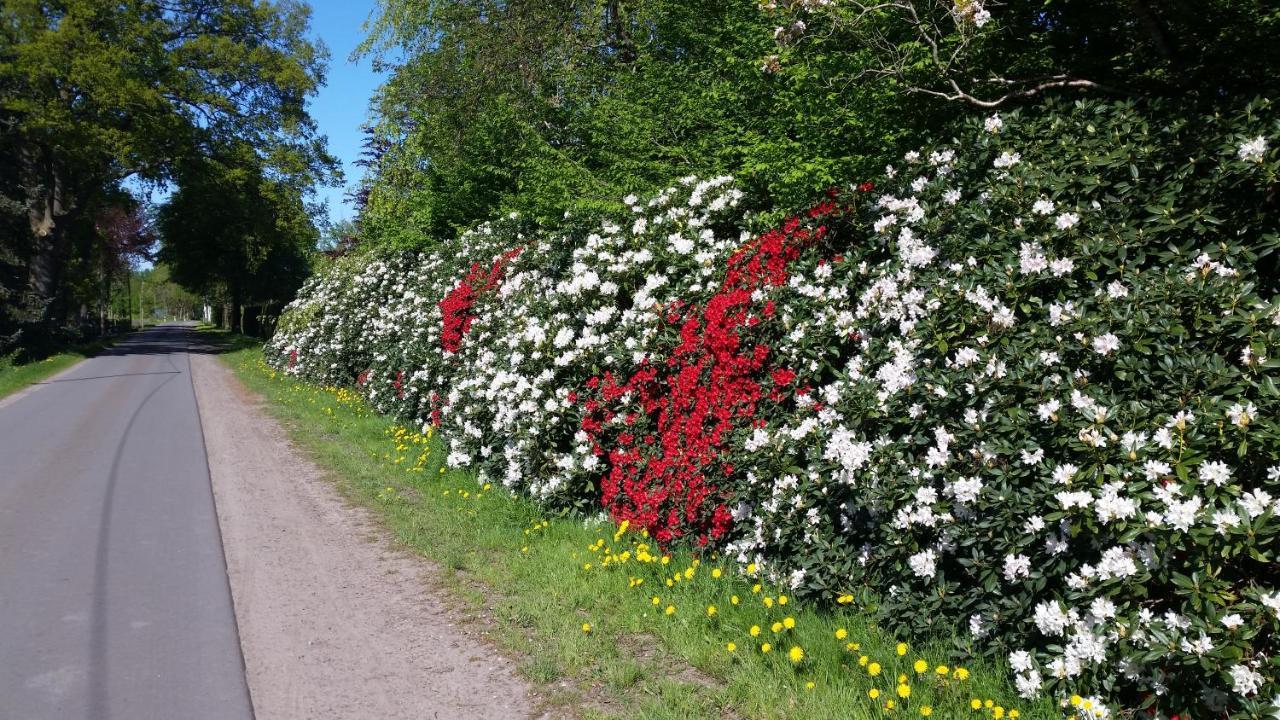 Ferienwohnung Gartenblick فسترشتيده المظهر الخارجي الصورة