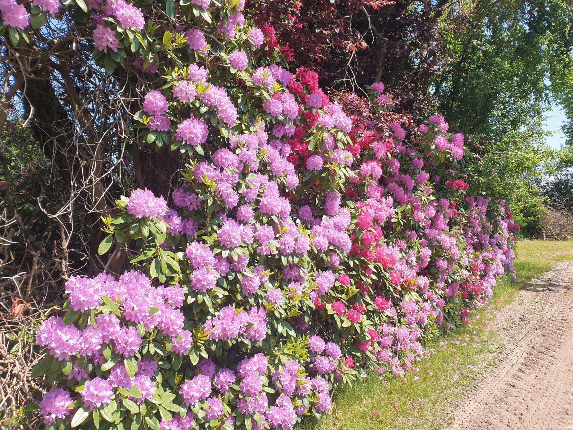 Ferienwohnung Gartenblick فسترشتيده المظهر الخارجي الصورة