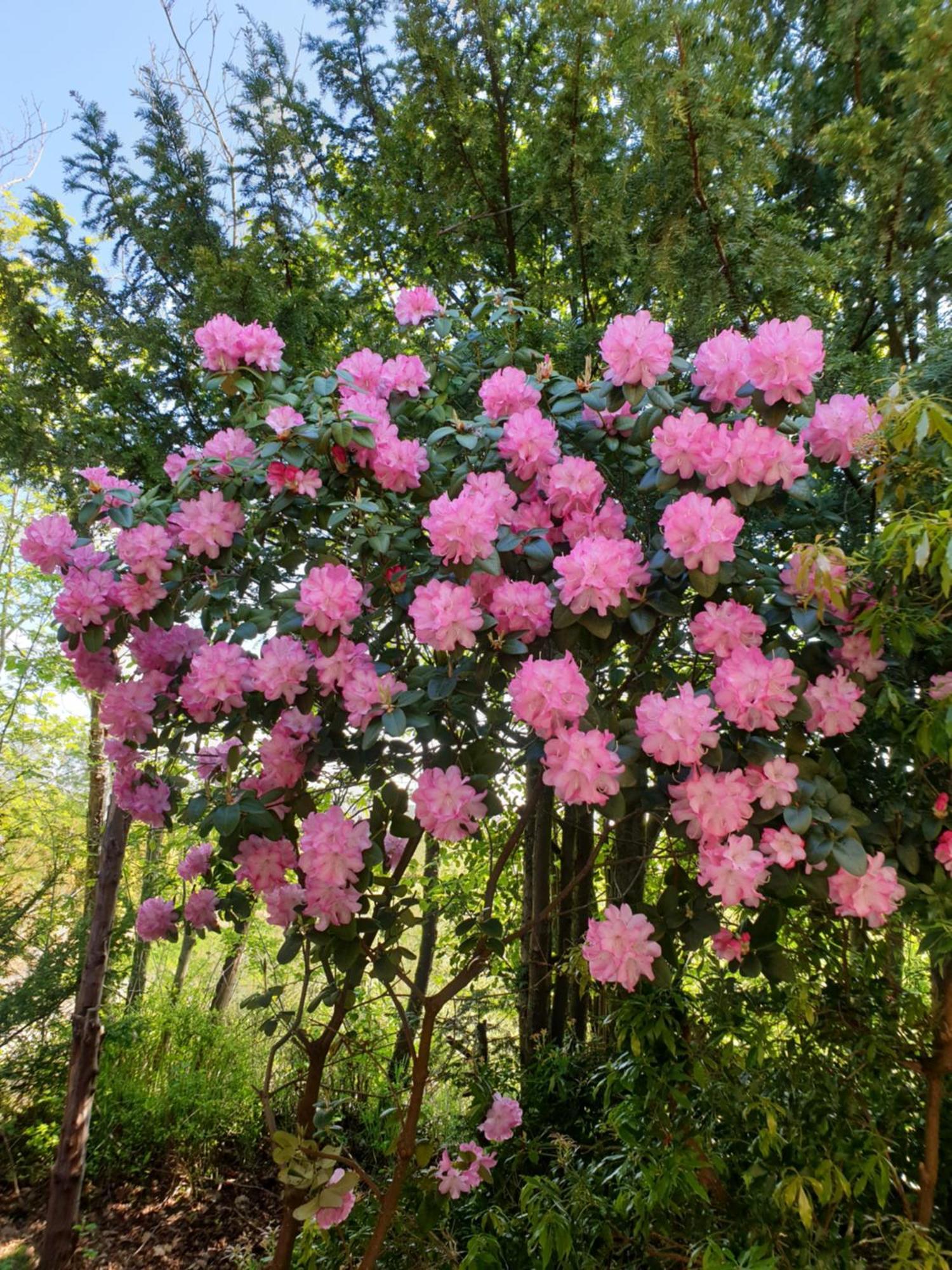 Ferienwohnung Gartenblick فسترشتيده المظهر الخارجي الصورة