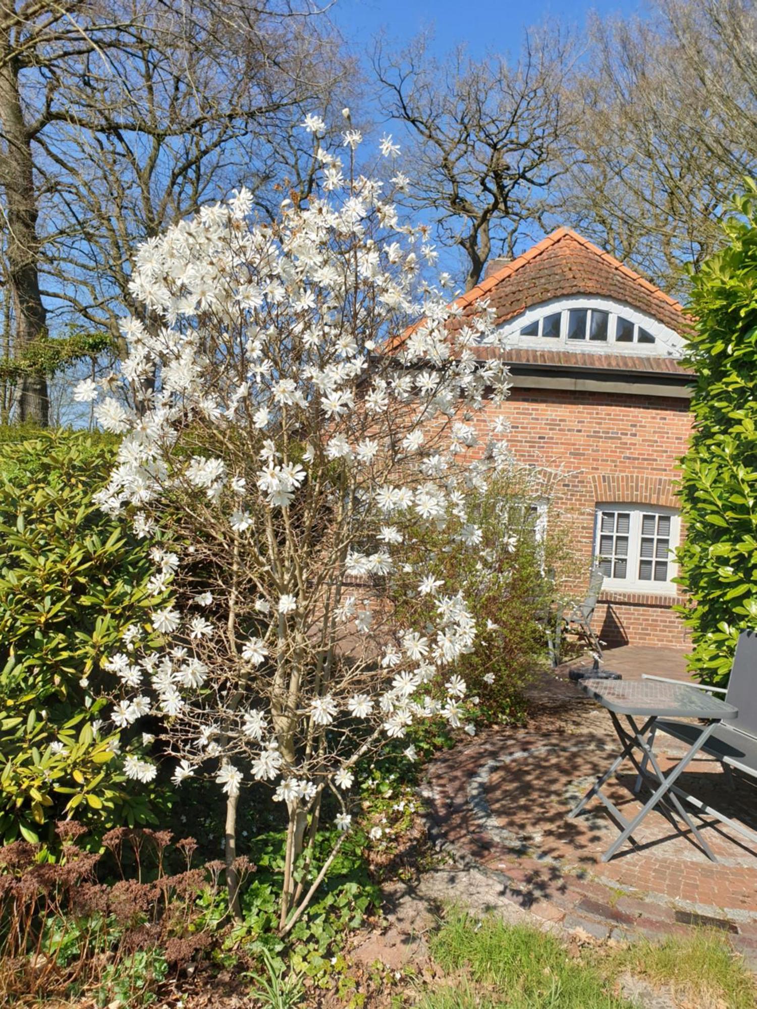 Ferienwohnung Gartenblick فسترشتيده المظهر الخارجي الصورة