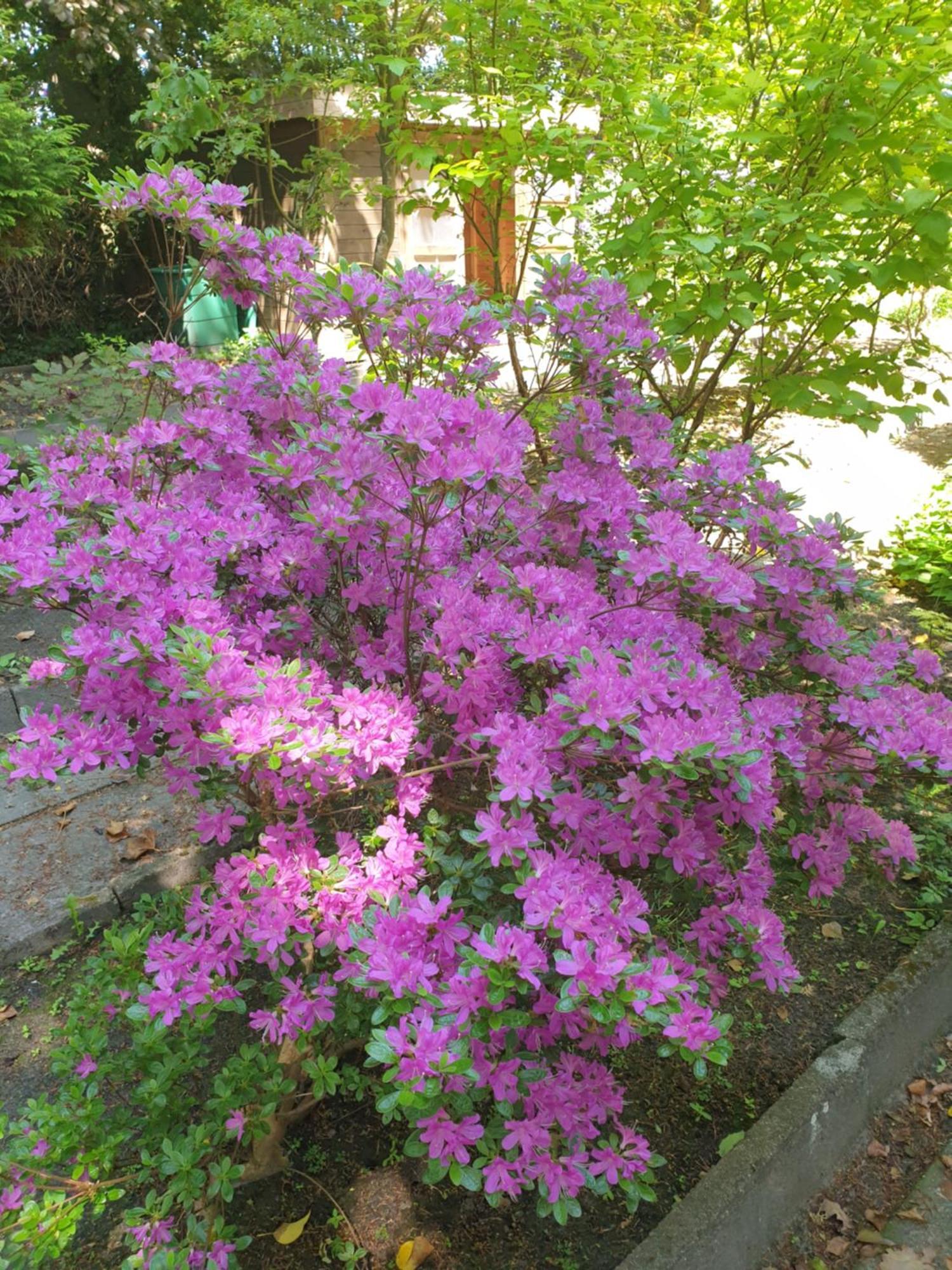 Ferienwohnung Gartenblick فسترشتيده المظهر الخارجي الصورة