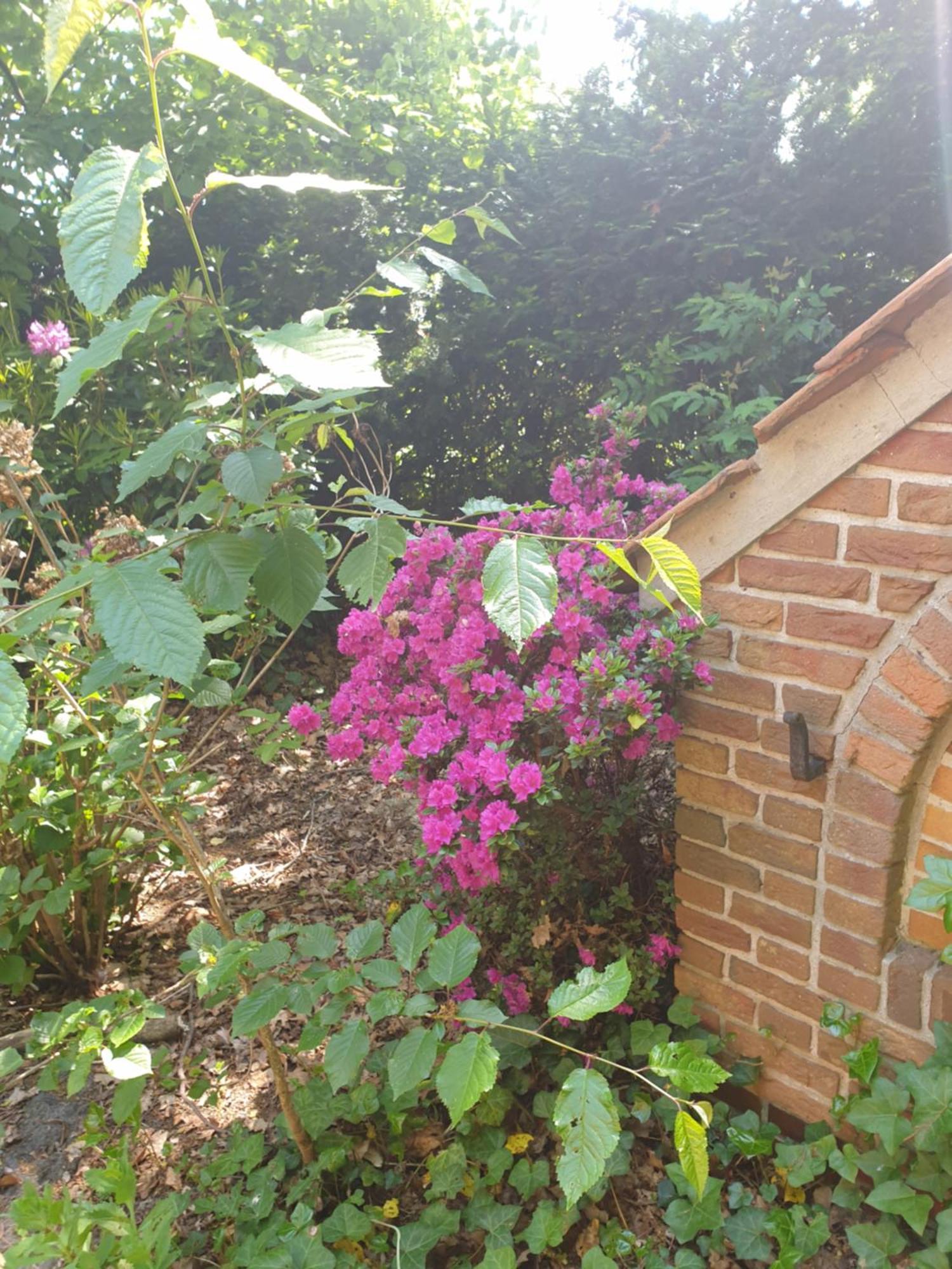Ferienwohnung Gartenblick فسترشتيده المظهر الخارجي الصورة